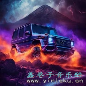 [DJ] 全网超嗨车载dj｜飙车就要放肆嗨